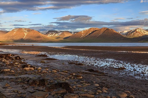 Fjord, low tide, stones, mountains, evening light, cloudy mood, Thingeyri, Westfjords, Iceland,
