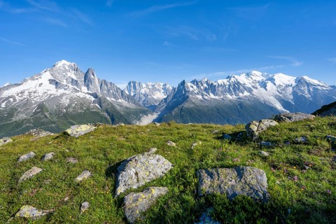Mountain meadow and mountain panorama, mountain peaks Aiguille Verte, Grandes Jorasses and Mont