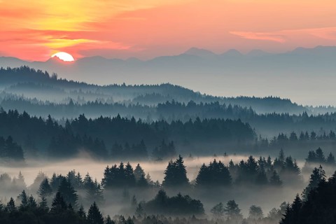 Foggy atmosphere and sunrise over trees, mountains behind, near Bad Kohlgrub, Bavaria, Germany,