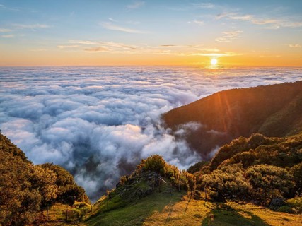 Aerial view of sunrise above clouds and green hills at Fanal mountain, Madeira island, Portugal,