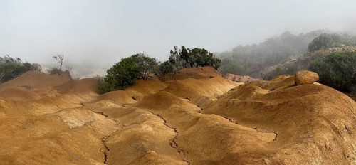 Yellow soil and rocks, erosion, near Arguamul, La Gomera, Canary Islands, Spain, Europe