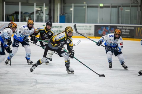 07.12.2024: German Women's Ice Hockey League, 2024/25 season: Mad Dogs Mannheim vs ERC Ingolstadt
