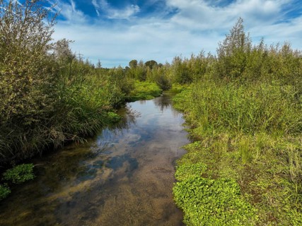 Bottrop-Gladbeck, North Rhine-Westphalia, Germany, Renaturalised Boye, the tributary of the