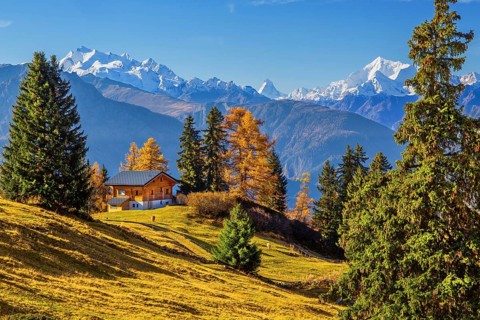 Autumn landscape with chalets and panorama of Dom 4545m, Matterhorn 4478m and Weisshorn 4505m,