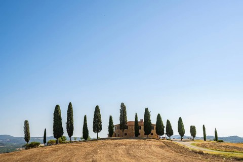 Tuscany landscape with cypresses and farmstead, dawn, 'Podere Cipressini', San Quirico d'Orcia, Val