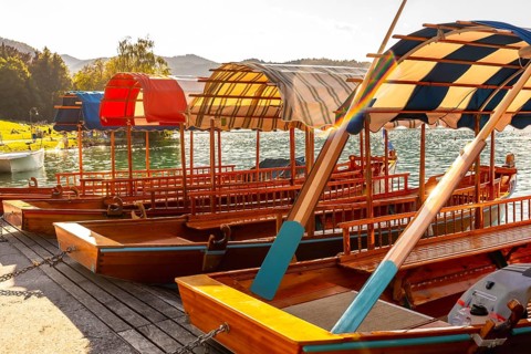 Colorful wooden pletna boats with canopies moored on the shore of lake bled, famous tourist