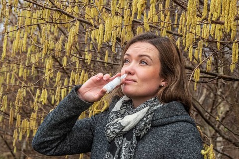 Young Caucasian woman with allergy problem stands by flowering hazel bush and sprays her nose in