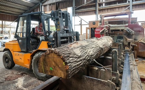 Solingen, North Rhine-Westphalia, Germany - Oak logs on the bandsaw in the sawmill, construction