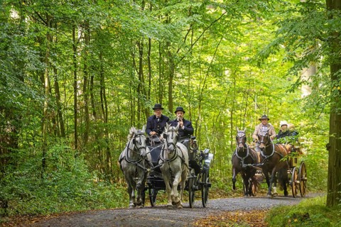 Presentation and route ride, all carriages in stylish tension, popular sporting event over approx.