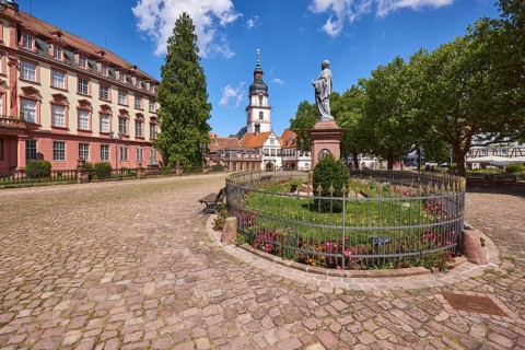 Monument to Count Franz, church tower, Erbach town church, Erbach castle, trees, market square,