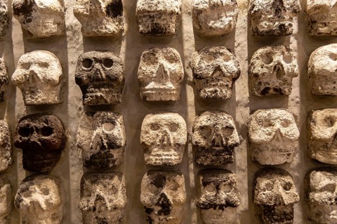 Wall of stone human skulls, archaeological site and museum of Templo Mayor, Mexico City, Mexico,