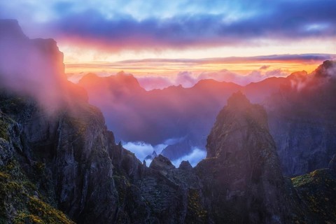 Mountains on sunset covered in fog and clouds with blooming Cytisus shrubs. Near Pico de Arieiro,