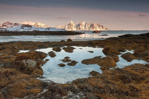 Rugged mountains, Lofoten island Vestvågøya at the fjord Gimsøystraumen, Lofoten, Northern Norway,