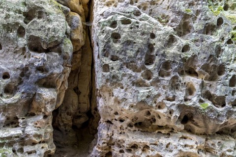 Washed-out sandstone and crevice on the hiking trail to Kleiner Bärenstein, Saxon Switzerland,