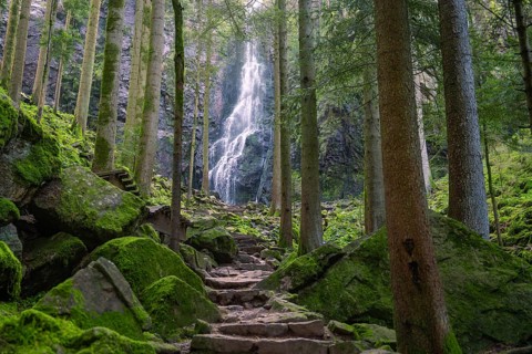 Waterfall surrounded by trees, with moss-covered rocks and a stony path, Burgbach waterfall, Bad