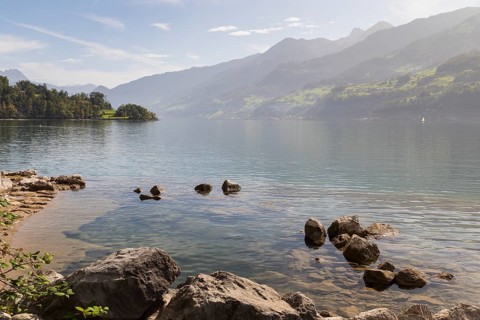 View from the north shore of Lake Walen to the east, Amden, St. Gallen, Switzerland, Europe