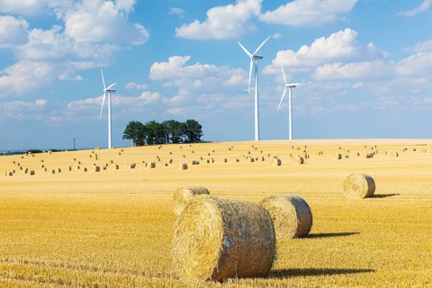 Straw bales on a harvested grain field, stubble field, wind turbines in the background, Nossen,