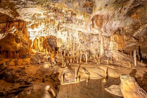 Breathtaking view of illuminated stalactites and stalagmites formations inside postojna cave, a