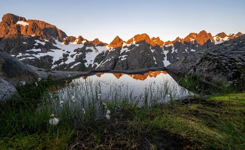 Rocky mountain peaks with reflection, small pond with cotton grass in moor landscape at Trollfjord