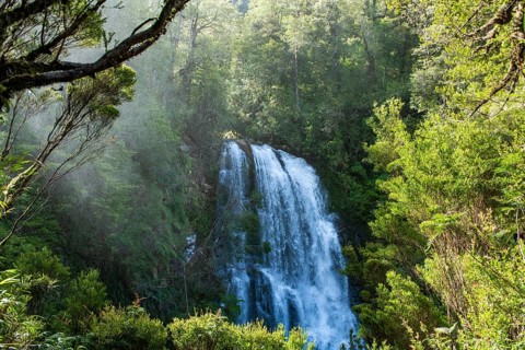 Waterfall in the jungle, Pumalin-Douglas Tompkins National Park, Chaiten, Los Lagos region,