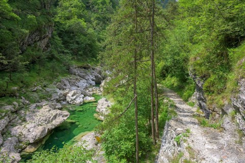 Emerald green river Pozze Smeraldine, Tramonti di Sopra, Province of Pordenone, Italy, Europe