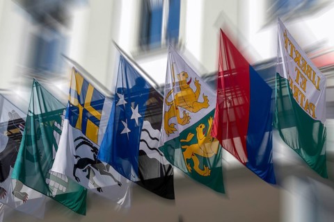 Symbolic photo cantonal flags Appenzell Ausseroden, St. Gallen, Graubünden, Aargau, Thurgau,