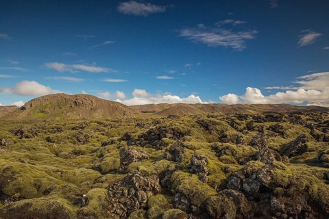 Lavafield Ögmundarhraun near Grindavik, located on Reykjanes headland on the southwestern tip of