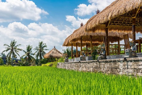 Resort in the rice paddies of Ubud in Bali, Indonesia, Asia