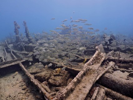 A school of fish swims around a derelict shipwreck in the blue ocean, dive site Benwood, John
