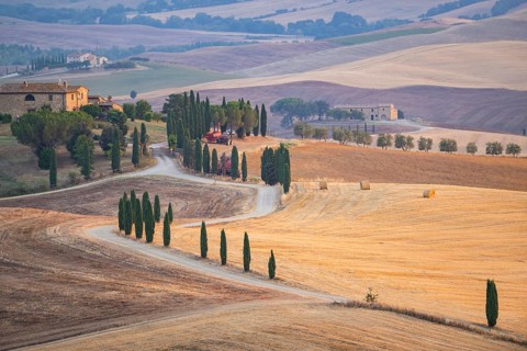 Typical Tuscan landscape in Val d'Orcia with hills, trees, fields, cypresses and farm road in