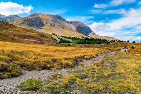 France, Alps, Départements Hautes-Alpes and Alpes-de-Haute-Provence, view of pass Col de Vars,