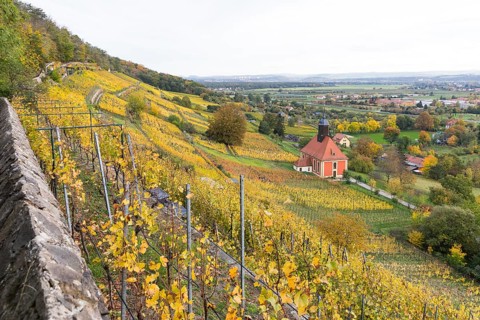 Vineyard church Zum Heiligen Geist in the middle of the autumn-coloured vineyards of Pillnitz,