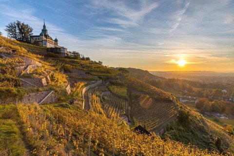 Restaurant Spitzhaus in the autumnal vineyards of Oberlößnitz at sunrise, Radebeul, Saxony,