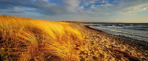 Lonely empty beach in the evening light, beach grass bends in the wind, blue sky with clouds,