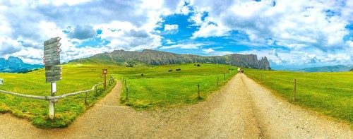 Hiking trails diverge in the lush meadows of alpe di siusi, with tourists walking towards the