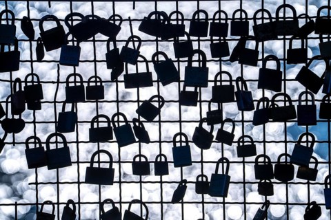 Padlocks, so-called love locks on a fence, vantage point in Wesel am Rhein, North Rhine-Westphalia,