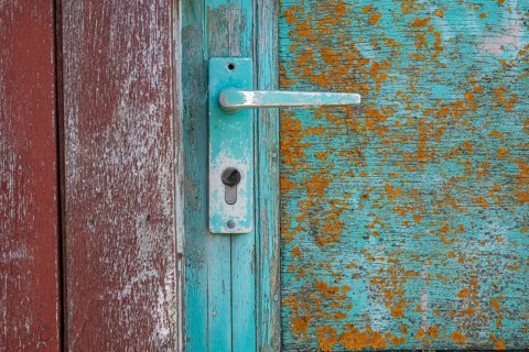 Green wooden door, door handle, Søndervig, Ringkøbing Fjord, Denmark, Europe