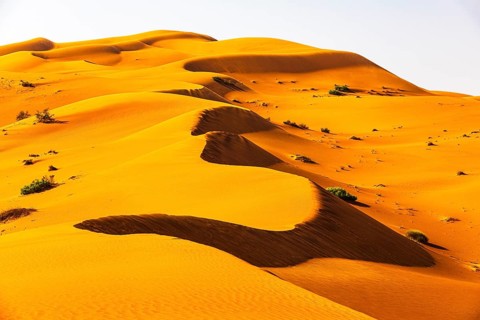Wind-sculpted curved sand dunes in the Rub al Khali desert, Dhofar province, Arabian Peninsula,