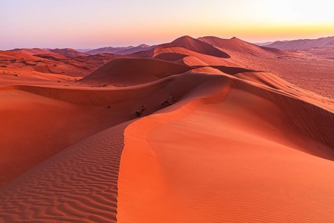 Wind-sculpted sand dunes at sunrise in the Rub al Khali desert, Dhofar province, Arabian Peninsula,