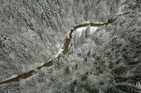 Gießenbach, winter, snow-covered trees, drone shot, without horizon, Kiefersfelden, Upper Bavaria,