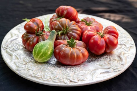 Tomatoes, ox hearts and a Vorgebirgstrauben pickled cucumber on a decorative plate on a black