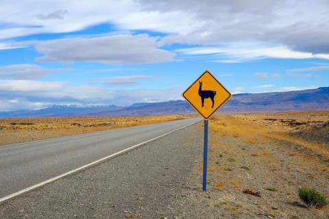El Calafate, Patagonia, Argentina, Road sign warning of guanacos along the little-travelled country