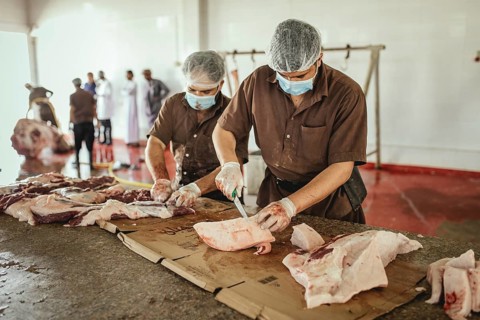 Cutting up a slaughtered dromedary (camelus dromedarius), camel slaughter, Salalah slaughterhouse,