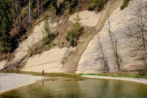Hiker on the Hohe Wand, Nagelfluh, Eistobel geotope, Obere Argen, near Grünenbach, Allgäu, Swabia,