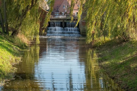 Idyllic river with the weir of a watermill, lined with autumn willow trees, Nienborg, Münsterland,