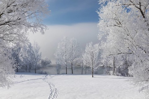 Lake Kochelsee in Bavaria, Germany. River Loisach leaving the lake. Winter, hoar frosted trees