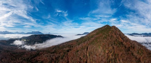 Drone shot, autumn forest and sea of fog around the Schwarzenberg, Puch near Hallein, Osterhorn