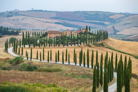 Typical Tuscan landscape in Crete Senesi with hills, trees, fields, cypresses and farm road in
