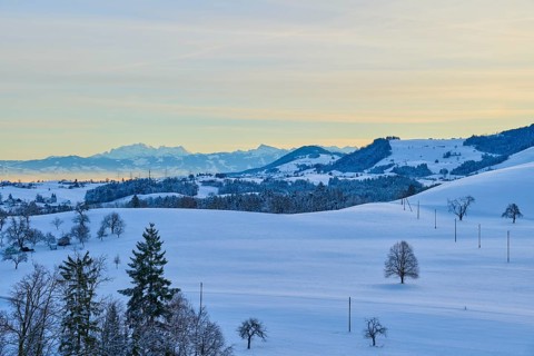 Snowy hilly landscape at sunrise with groups of trees and mountains in the background, Menzingen,