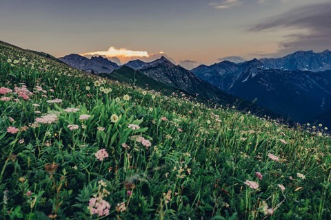 Hiking tour on the Hönig mountain in the Lechtal valley near Berwang in Tyrol, Austria, Europe
